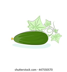 Cucumber, Cucumber Vegetable with Leaves Isolated on White Background, Vector Illustration 
