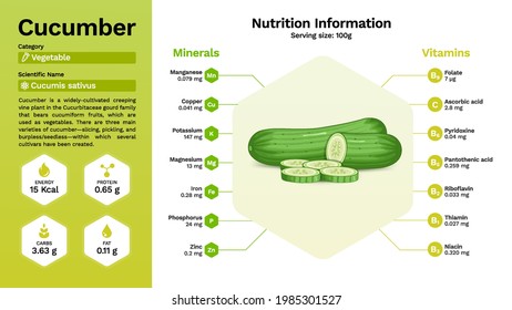 Cucumber vegetable and its nutritional properties- vector illustration