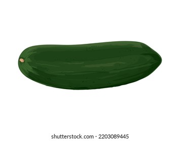 cucumber vegetable realistic icon isolated