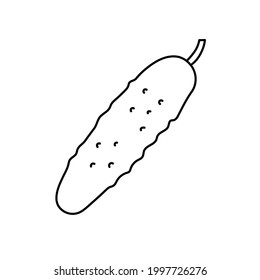 Cucumber. Vegetable sketch. Thin simple outline icon. Black contour line vector. Doodle hand drawn illustration