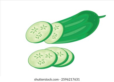 Cucumber vegetable slice vector. Green cucumber vegetable illustration. Healthy and fresh vegetables for the body