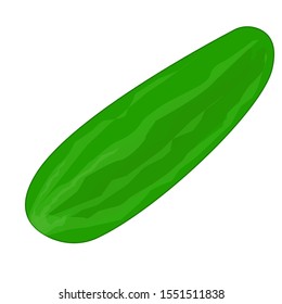 Cucumber vegetable vectoricon. Illustration art