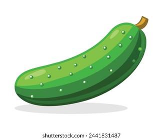 Ilustración plana del vector de las verduras del pepino sobre fondo blanco