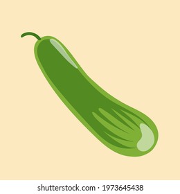 Cucumber vegetables object in vector illustration