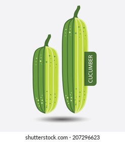 cucumber ,vegetables vector illustration