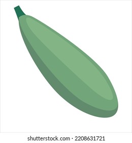 cucumber for vegetables vector illustration