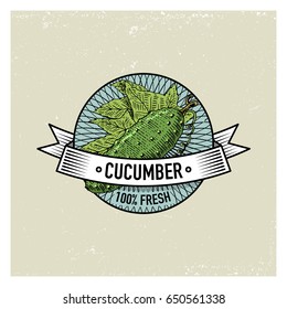 Cucumber Vintage set of labels, emblems or logo for vegetarian food, vegetables hand drawn or engraved. Retro farm american style
