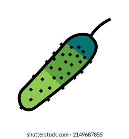 cucumber vitamin vegetable color icon vector. cucumber vitamin vegetable sign. isolated symbol illustration