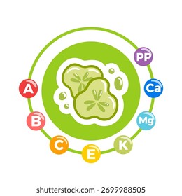 Cucumber with vitamins and minerals emphasized, featuring crisp green stems, glossy sliced pieces, and subtle nutrient icons, designed as a clean vector illustration.