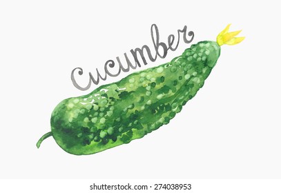 cucumber watercolor