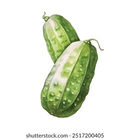 pepino aquarela clipart ilustração isolada