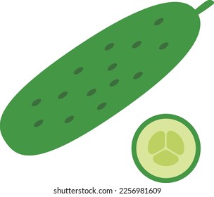 Cucumber, whole and cut, vector. Cucumber, whole and green cucumber slice.