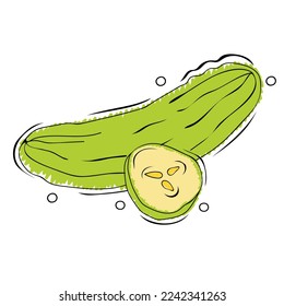 Cucumber whole and slice. Organic vegetable for healthy lifestyle. Hand drawn vector illustration in sketch style