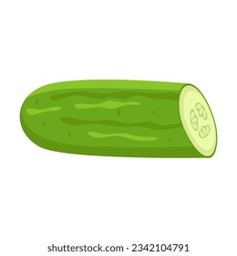Cucumber or zucchini cut in half vector illustration. Cartoon drawing of strips of green vegetable for cooking and healthy diet isolated on white background. Food, fruit, nutrition concept