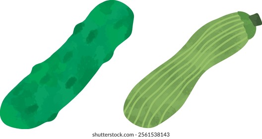 Cucumber And Zuccini Digital Watercolor Clipart