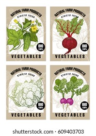 Cucumbers, beet root, cabbage cauliflower, radish. Labels with vegetables. Set templates price tags for shops, markets of organic food. Vector illustration art. Vintage. Hand drawing of nature objects