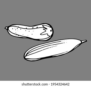 
pepinos, vector negro y blanco