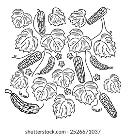 Pepinos. Ramas de pepinos con flores y hojas. Vector ilustración en blanco y negro.