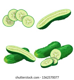 Cucumbers in cartoon style set. Whole cucumber, half, flying slices and cucumbers group. Fresh farm vegetables collection. Vector illustrations isolated on white background.