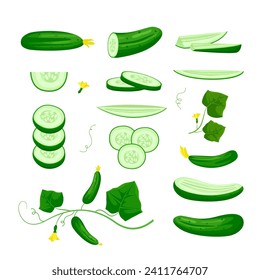 pepinos. colección de plantas vegetarianas de dibujos animados, nutrición natural orgánica, cosecha vegetariana de verduras verdes. colección de objetos de dibujos animados vectoriales.