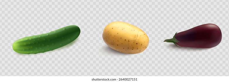 Cucumbers, coriander seeds, onions, potatoes, lettuce, zucchini, corn, tomato, asparagus. Vegetables 3d realistic vector set
