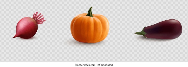 Cucumbers, coriander seeds, onions, potatoes, lettuce, zucchini, corn, tomato, asparagus. Vegetables 3d realistic vector set