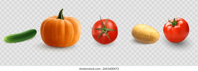 Cucumbers, coriander seeds, onions, potatoes, lettuce, zucchini, corn, tomato, asparagus. Vegetables 3d realistic vector set