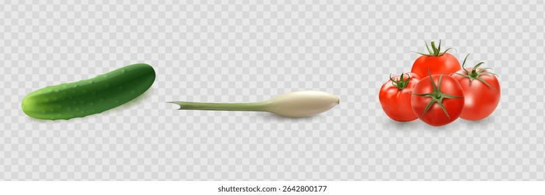 Cucumbers, coriander seeds, onions, potatoes, lettuce, zucchini, corn, tomato, asparagus. Vegetables 3d realistic vector set