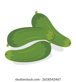Cucumbers flat vector illustration. Vegetable on white background. Eps 10.
