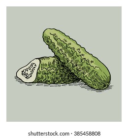Cucumbers free hand drawing, sketch style