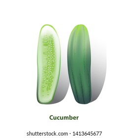 Cucumbers haft and full on white background
