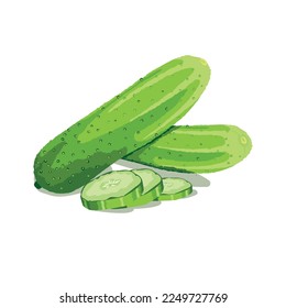 Cucumbers isolated on white background. Sliced ​​cucumber