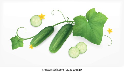 Cucumbers realistic composition with image of blossom with leaves flowers and cucumber plants with cut slices vector illustration