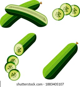 Los pepinos están listos. Los pepinos llenos. pepino entero, medio, troceado, rebanadas. Copeteros verdes frescos. Hortalizas orgánicas. Sanos, dietas, comida vegetariana. Ilustraciones vectoriales aisladas en fondo blanco.