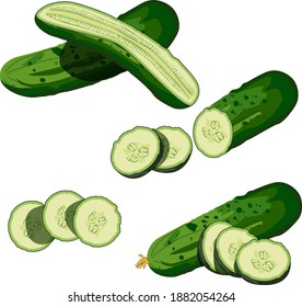 Cucumbers set. Whole cucumber, half, chopped, slices and cucumbers group. Fresh green cucumbers. Organic vegetables. Healthy, diet, vegetarian food. Vector illustrations isolated on white background.