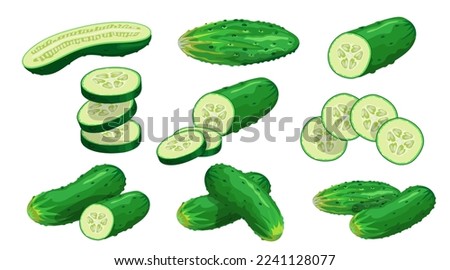 Cucumbers set. Whole, halved, sliced cucumbers. Fresh green cucumbers. Organic vegetables. Best for menu, market designs. Vector illustrations.