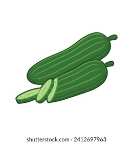 Cucumbers slice vegetable vector illustration