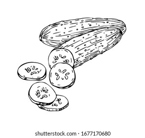 Cucumbers with slices in line art style.