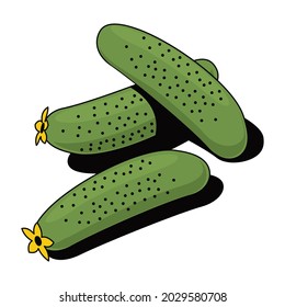 Cucumbers. Vector 3d sketch line isometric, color icon illustration, flat style. Creative design idea and elements for infographics and website.