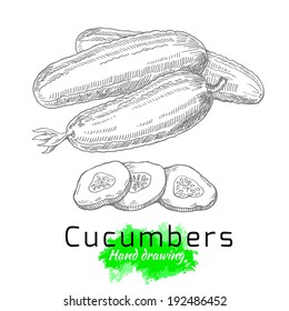 Cucumbers, Vector Hand Drawing