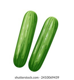 Cucumbers vector illustration. Cartoon isolated top view of two whole long green cucumbers, pair of fresh farm garden vegetables to cook healthy summer vitamin salad, vegetarian natural garnish