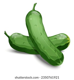 Cucumbers vector illustration on white background