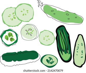 Cucumbers. Whole cucumber, half, chopped, slices and cucumbers group. Fresh green cucumbers. Organic vegetables. Healthy, diet, vegetarian food. Vector illustrations isolated on white background.