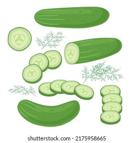 Cucumbers whole, slices and dill isolated. Vector illustration of vegetables on a white background. Healthy food design. Ingredients for cooking.