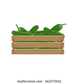 Cucumbers in wooden crate. Vector illustration