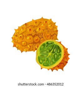 Cucumis metulifer. Kiwano or horned melon with slices. Isolated objects. vector illustration on white background. 