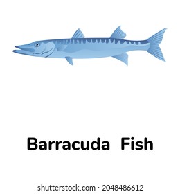 A cuda or barracuda fish flat icon