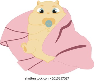 Cuddly baby hamster