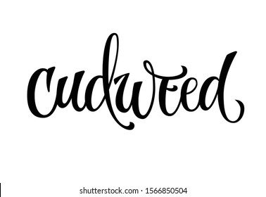 Cudweed - vector hand drawn calligraphy style lettering word. Isolated script spice text label. Labels, shop design, cafe decore etc