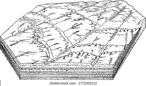 Cuestas and lowlands, it has a steep cliff or escarpment on one side and a gentle dip or back slope on other side, vintage line drawing or engraving illustration.